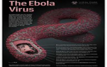ALERTE: les signes et symptômes de la maladie à virus EBOLA (OMS)