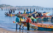 Face aux contraintes de pêche artisanale : Nécessité d’un plan de travail annuel
