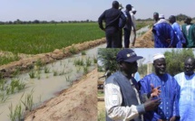 Programme National d’Autosuffisance en Riz (PNAR): Thierno Samassa s’implique