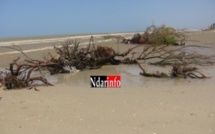 STABILISATION DE LA BRECHE  : une mission hollandaise débarque à Saint-Louis.