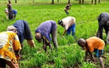 Tourisme / PSE : Promouvoir l’investissement : c’est bon. Mais sécuriser l’investissement : c’est mieux.
