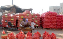 L'UE construit 5 magasins de stockage et de séchoirs d'oignons