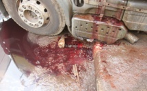 MASSACRE DU TOURISME SAINT-LOUISIEN : une terrible catastrophe à l’entrée de l’hydrobase. Regardez !