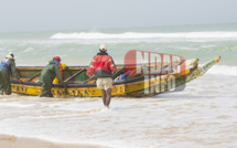 Météo-Saint-Louis : Une houle dangereuse attendue à partir de dimanche (ANACIM)