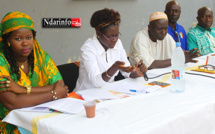 LUTTE CONTRE LA DRÉPANOCYTOSE : Saint-Louis réclame un allégement de la prise en charge.