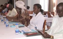 Investissements pour la création d’emplois : à Saint-Louis, les mécanismes d’accès aux subventions compétitives de l’IFE mises en lumière.