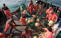 Gestion des licences de pêche : le nouveau régime sonne la fin de la pagaille