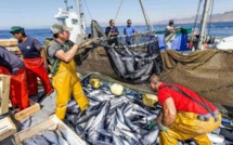 Exploitation des ressources halieutiques sénégalaises : l'UE verse 1,7 millions d'euros par an, selon Juan BRANCO