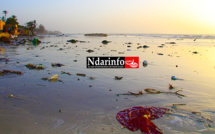 PSYCHOSE A GANDIOL: les vagues cassent, les populations fuient. Regardez !