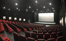 ”L’industrie du théâtre n’est pas très développée à Saint-Louis” (Directrice)