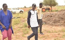 Suivi des cultures et souveraineté alimentaire : Le DG de la SAED en tournée dans la vallée du fleuve Sénégal