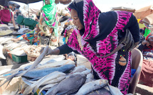 Marché Sor : Les vendeuses de poisson crient leur ras-le-bol et réclament un nouveau site