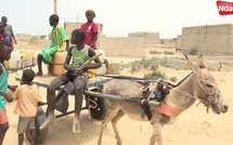 Pénurie d’eau à Khar Yalla : les enfants remplacent l’école par la quête du précieux liquide