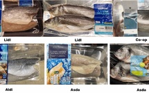 Poisson sénégalais, assiette étrangère : une enquête révèle un commerce inéquitable