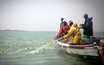 Pêche artisanale : accord renouvelé entre le Sénégal et la Guinée-Bissau