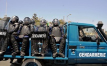 SÉCURISATION DE SAINT-LOUIS : 21 véhicules immobilisés, 14 personnes arrêtées.