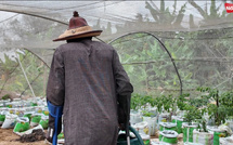 Portrait - Baye Oumar Cissé : L’homme qui a transformé son handicap en force