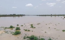 Crue du fleuve Sénégal : Matam frôle le seuil d’alerte