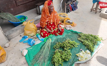 Marché Tendjiguen : Les vendeuses de menthe luttent contre la rareté du produit et la hausse des prix