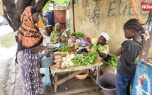 Saint-Louis : Derrière les tables de légumes, une solidarité sans prix
