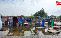 Racing club : les marchands de tabliers pris au piège de l’inachevé