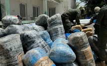 Sédhiou : arrestation d’un trafiquant avec 20 kg de chanvre indien