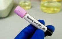 Fièvre de la Vallée du Rift : 18 décès enregistrés sur 140 cas confirmés