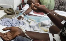 Sénégal : régression de la vitesse de propagation de la fièvre de la vallée du Rift