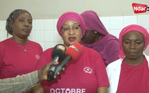 Octobre Rose à Saint-Louis – Dépistage et don de sang à l’hôpital régional pour lutter contre le cancer et faire face à la FVR