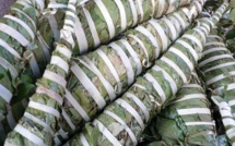 Les bienfaits du Kinkéliba, un boisson remède contre de nombreux maux