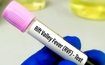 Fièvre de la vallée du Rift : 18 décès enregistrés à Saint-Louis depuis le 21 septembre