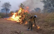 Podor : Un feu de brousse ravage plusieurs hectares entre Ouro Aly et Togan