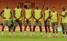 Londres : début de stage pour les Lions avant le choc contre le Brésil