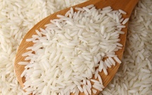 Riz local : un accord signé pour fixer le prix du kilogramme à 350 francs CFA