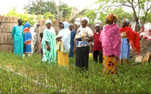 À Khor, des milliers de plants pour restaurer la mangrove
