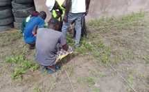 Potou : Des hangars écologiques en pneus recyclés pour conserver les récoltes pendant six mois