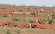 Mbane : Les populations de Pathé Badjo manifestent contre l'attribution de 1000 hectares à une société agro-industrielle