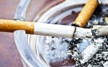 Lutte antitabac : Le Sénégal enregistre une baisse de 25% de la consommation