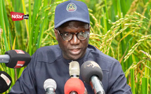 Souveraineté alimentaire : Le défi de la productivité lancé aux riziculteurs de la vallée