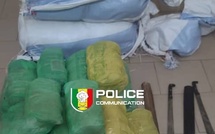 Fatick : 54 kg de chanvre indien saisis par la Brigade des Stupéfiants