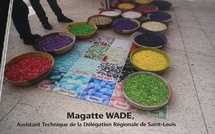 Valorisation des déchets solides : un levier stratégique de création d’emplois et de richesses au Sénégal. Par Magatte WADE