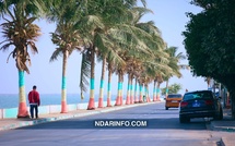 5 306 plants et 64 km de verdure : Le plan de la mairie pour rafraîchir Saint-Louis