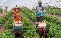 Régularisation massive en Espagne : 500 000 migrants concernés, une aubaine pour les Sénégalais