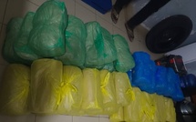 Médina : Comment l'opération "Djolof 26" a permis de saisir 59 kg de chanvre indien