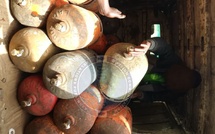 Sécurité publique : La Brigade de Ngor démantèle un réseau de transvasement illicite de gaz