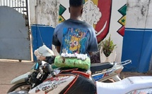 "Course-poursuite à Kolda" : Plus de 44 kg de chanvre indien saisis par la police en une journée