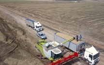 Souveraineté alimentaire : La Compagnie Agricole de Saint-Louis renforce sa production