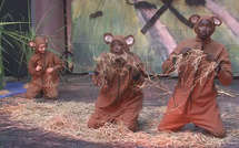 Saint-Louis : le théâtre sensibilise aux rongeurs nuisibles