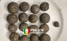 Ziguinchor : Saisie record de haschich et de chanvre indien par la BRS