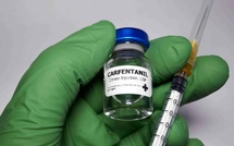 Alerte drogue au Sénégal : Le carfentanil, 100 fois plus fort que le fentanyl, saisi à Dakar